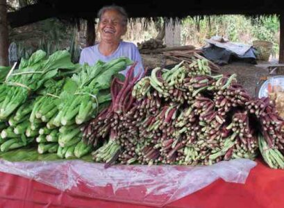 Ethnic Seeds Image